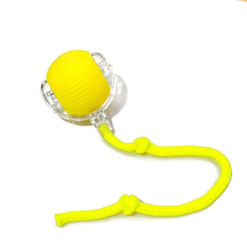 SmartPlay™ Interactive Rolling Ball