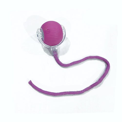 SmartPlay™ Interactive Rolling Ball