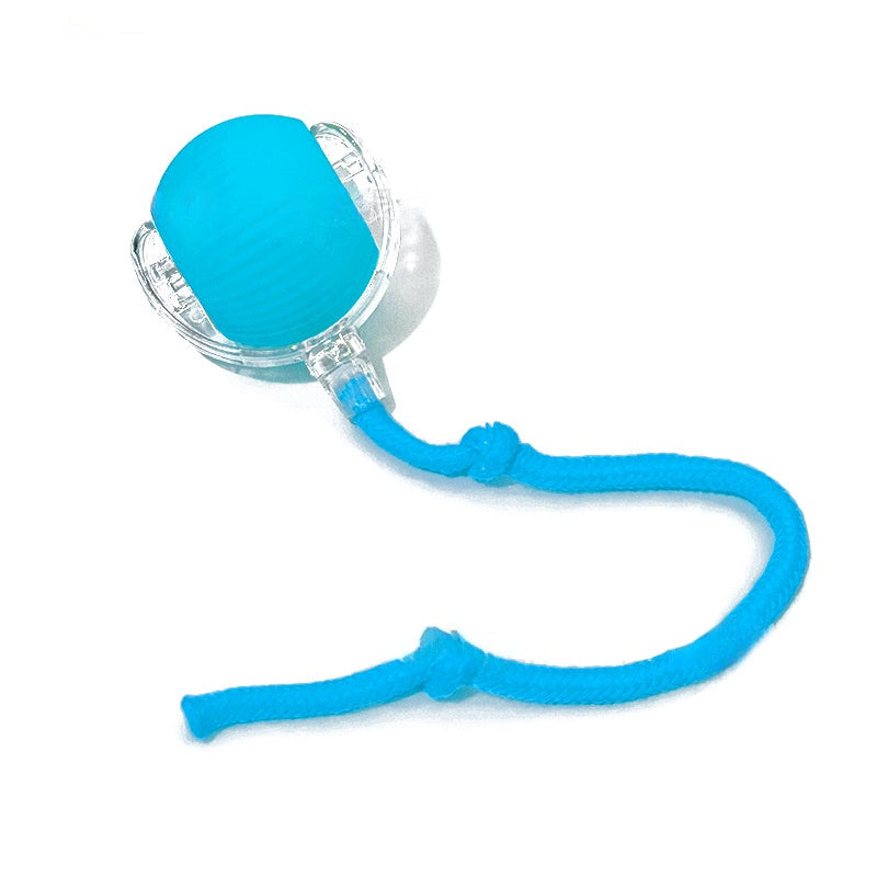 SmartPlay™ Interactive Rolling Ball